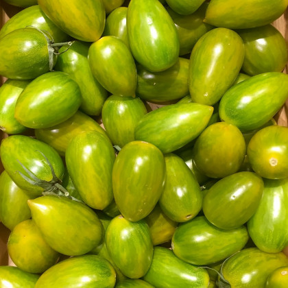 Rajče Artisan Green Tiger - Solanum lycopersicum - osivo rajčat - 5 ks