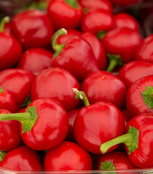 BIO Paprika Babybell červená - Capsicum annuum - bio osivo papriky - 10 ks