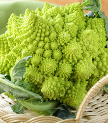 Brokolice Romanesco - Brassica oleracea L. - osivo brokolice - 250 ks