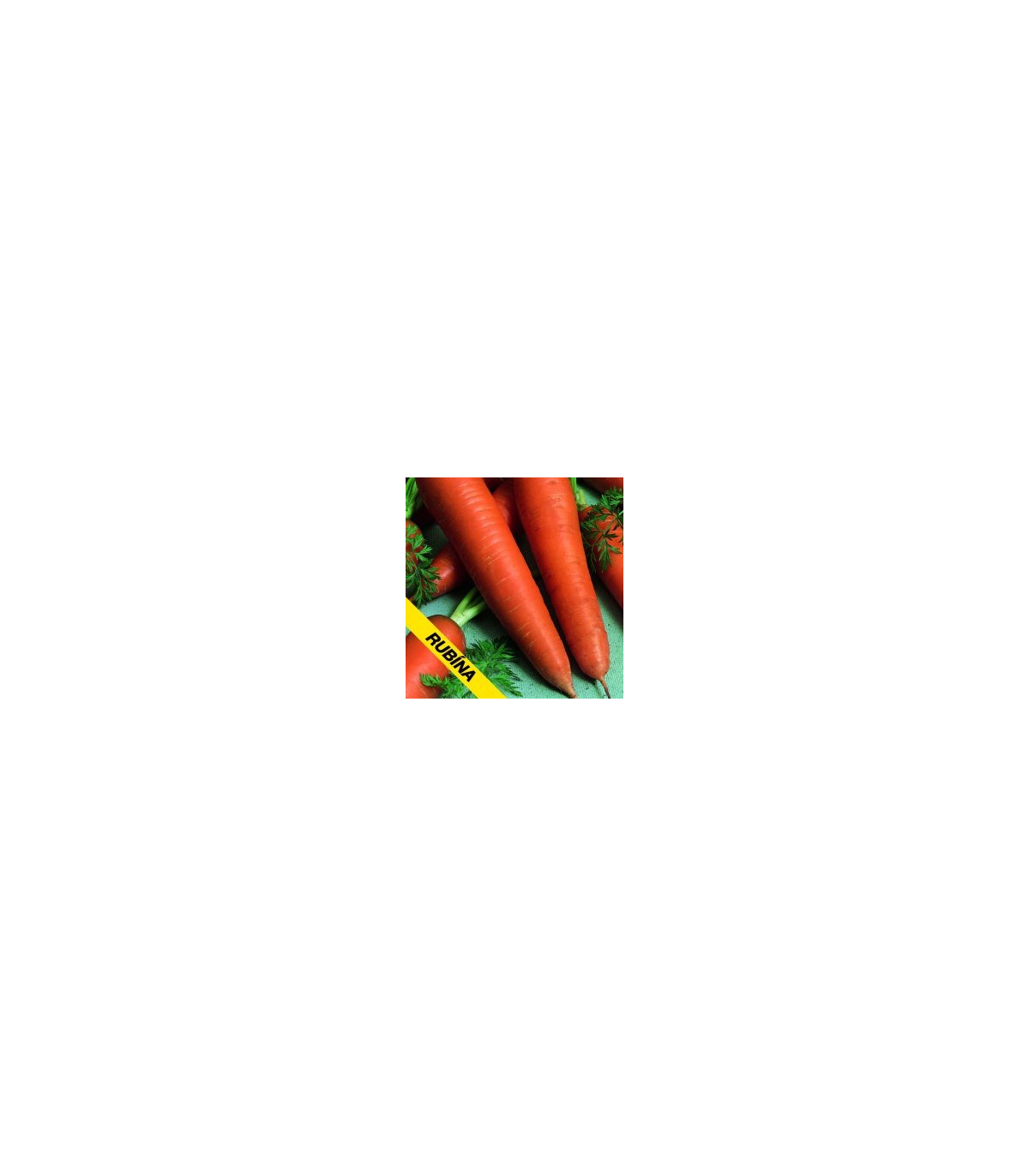 Mrkev Rubina - Daucus carota - osivo mrkve - 1 g