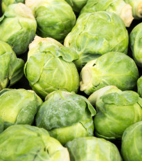 BIO Kapusta růžičková Hemera F1 - Brassica oleracea - bio osivo kapusty - 20 ks