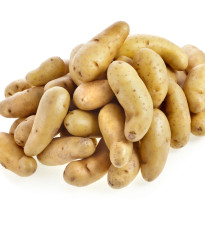 Sadbové brambory Ratte - Solanum tuberosum - sadba - 5 ks