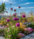 Střešní zahrada - osivo Planta Naturalis - směs lučních květin a trav - 10 g