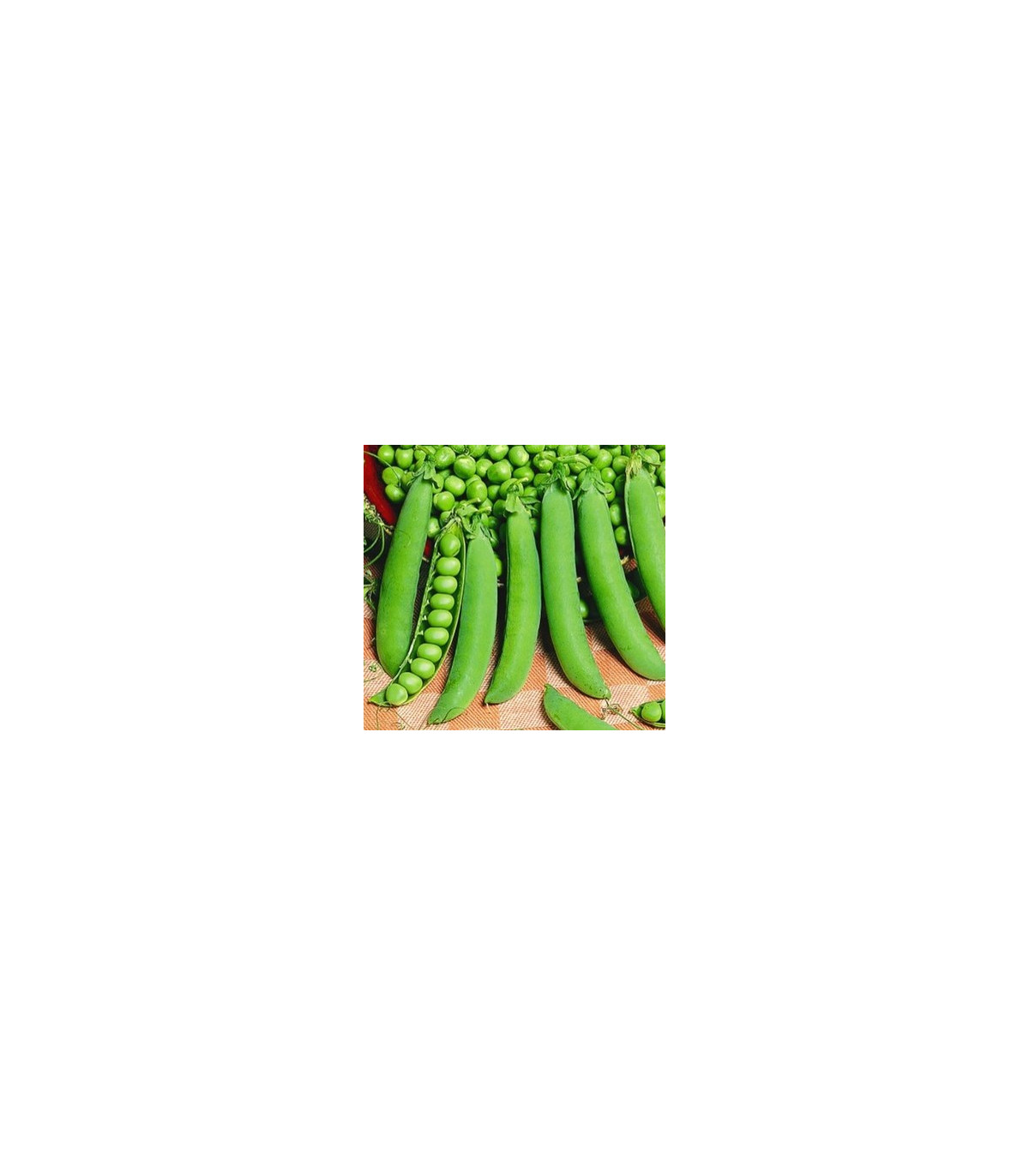 Hrách cukrový Hendriks - Pisum sativum - osivo hrachu - 12 g