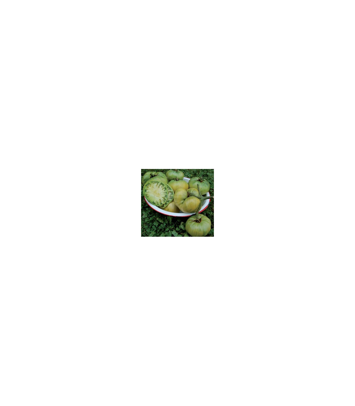 Rajče Teta - Solanum lycopersicum - osivo rajčat - 6 ks
