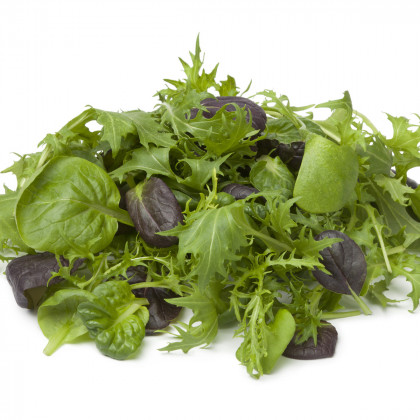 Mix aromatických salátů - semena salátu - 60 ks