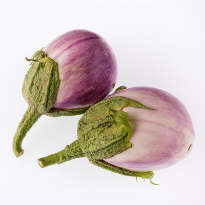 Lilek Baklažán - Rosa Bianca - prodej semen lilku - 6 ks
