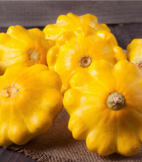 Patizon Golden Marbre - Cucurbita pepo - osivo patizonu - 5 ks