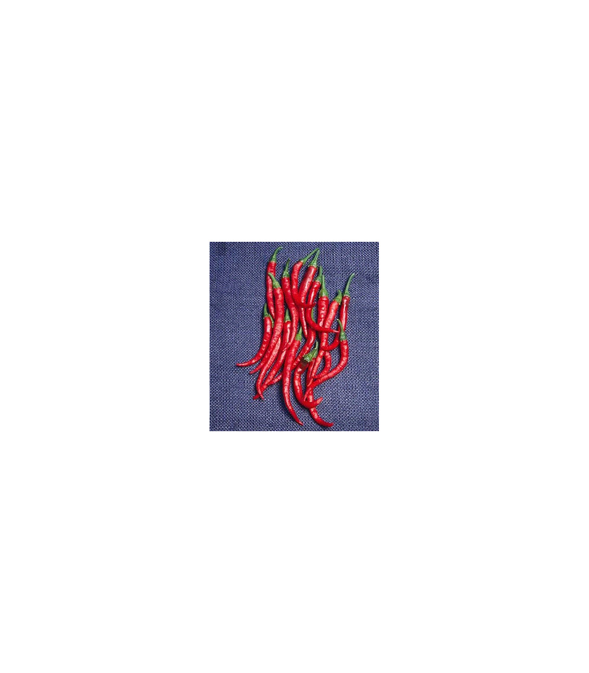 Kajenský pepř EXTRA dlouhý - Capsicum annuum - osivo chilli - 6 ks