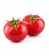 BIO Rajče Matina - Solanum lycopersicum - bio osivo rajčat - 15 ks