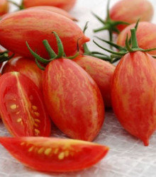 Rajče Artisan Pink Tiger - Solanum lycopersicum - osivo rajčat - 5 ks