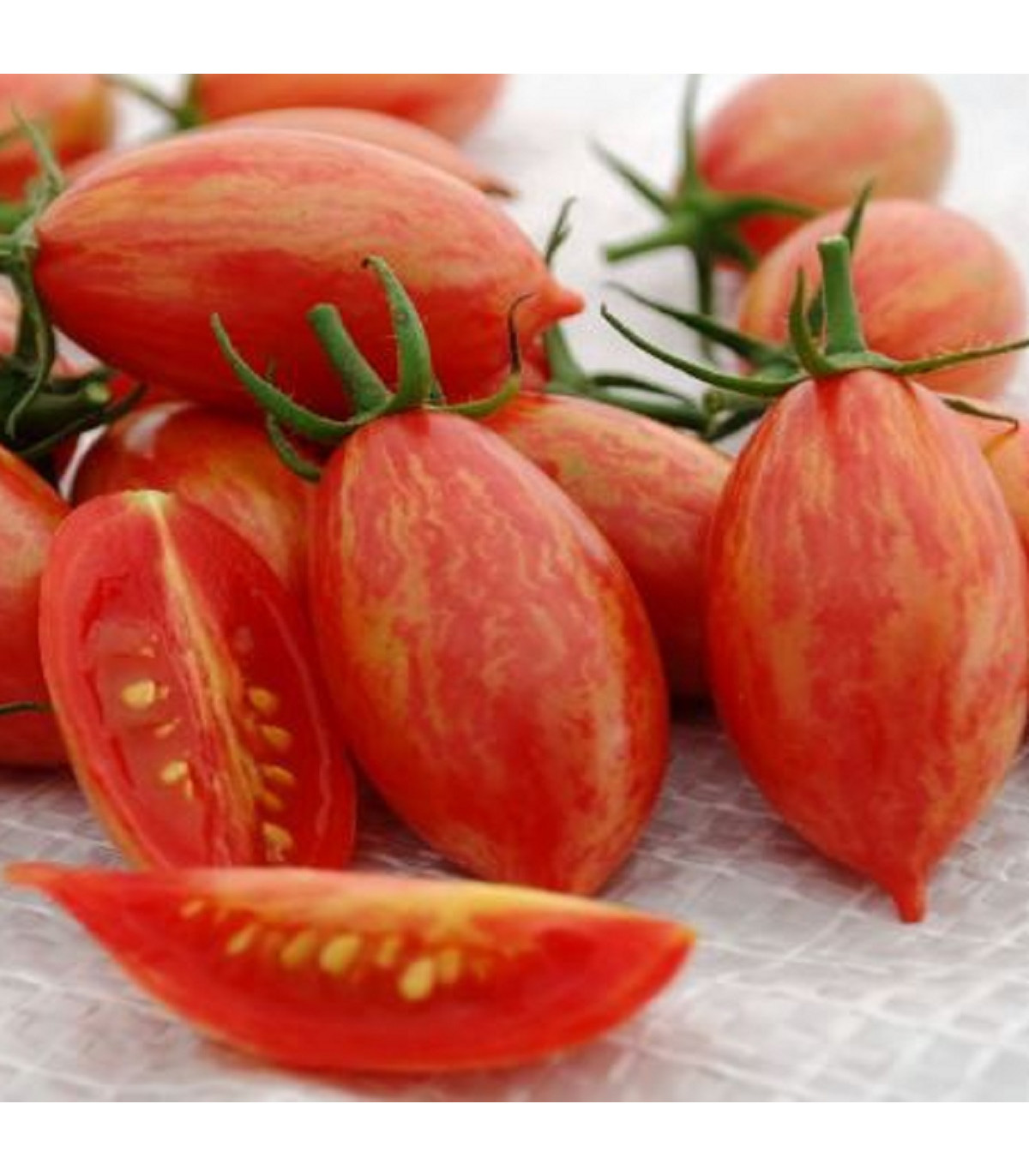 Rajče Artisan Pink Tiger - Solanum lycopersicum - osivo rajčat - 5 ks