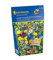Květinová směs Wild Romantisch - osivo Kiepenkerl - směs letniček - 100 g