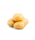 BIO sadbové brambory